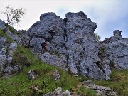 In Linzone spettacolo di narcisi e muscari - 15magg23-FOTOGALLERY